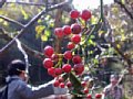 dscn5677.jpg